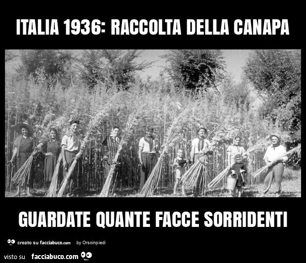 Italia 1936: raccolta della canapa guardate quante facce sorridenti