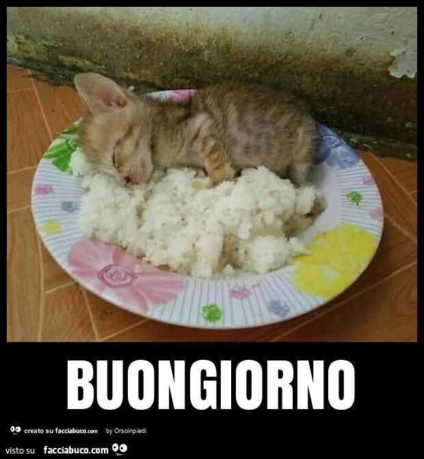 Buongiorno