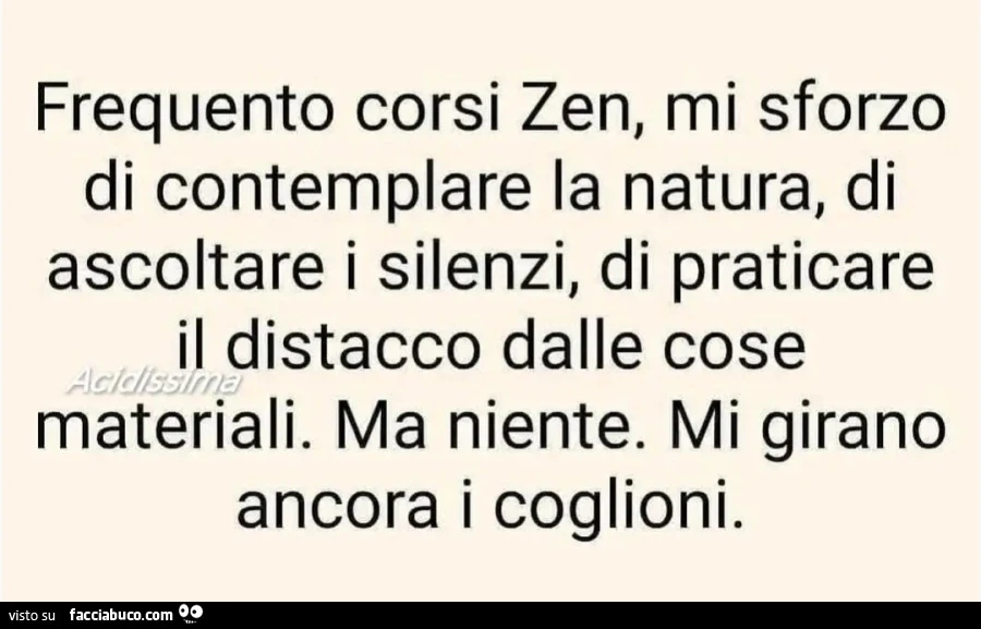 Frequento corsi Zen, mi sforzo di contemplare la natura, di ascoltare i silenzi, di praticare il distacco dalle cose materiali. Ma niente. Mi girano ancora i coglioni