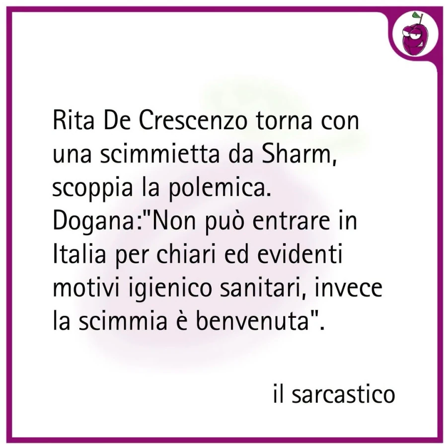 Rita de crescenzo torna con una scimmietta da sharm, scoppia la polemica. Dogana: non puรฒ entrare in italia per chiari ed evidenti motivi igienico sanitari, invece la scimmia รจ benvenuta