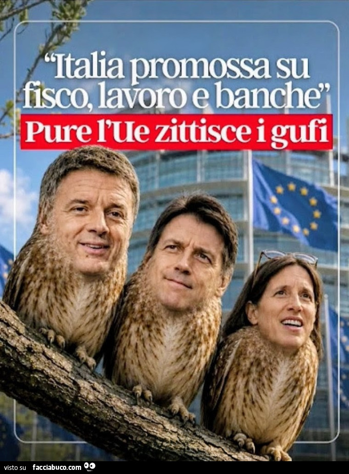 Gufi