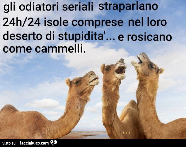 Cammelli