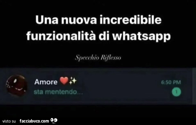 Una nuova incredibile funzionalità di whatsapp. Amore sta mentendo