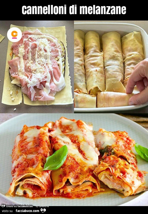 Cannelloni di melanzane