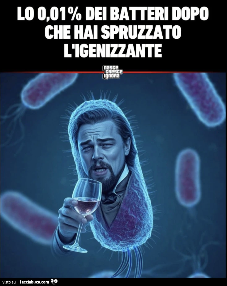 Vaccata