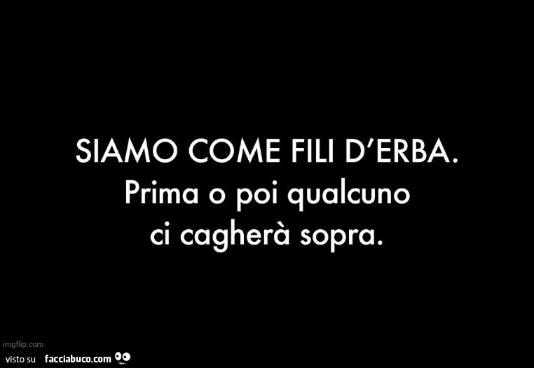Siamo come fili d'erba. Prima o poi qualcuno ci cagherร sopra