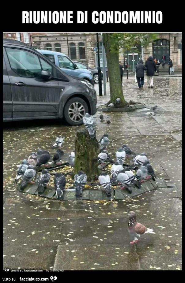 Riunione di condominio