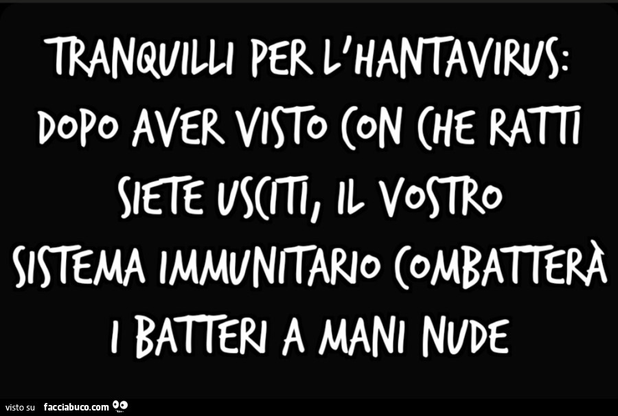 Tranquilli per l'hantavirus: dopo aver visto con che ratti siete usciti, il vostro sistema immunitario combatterà i batteri a mani nude