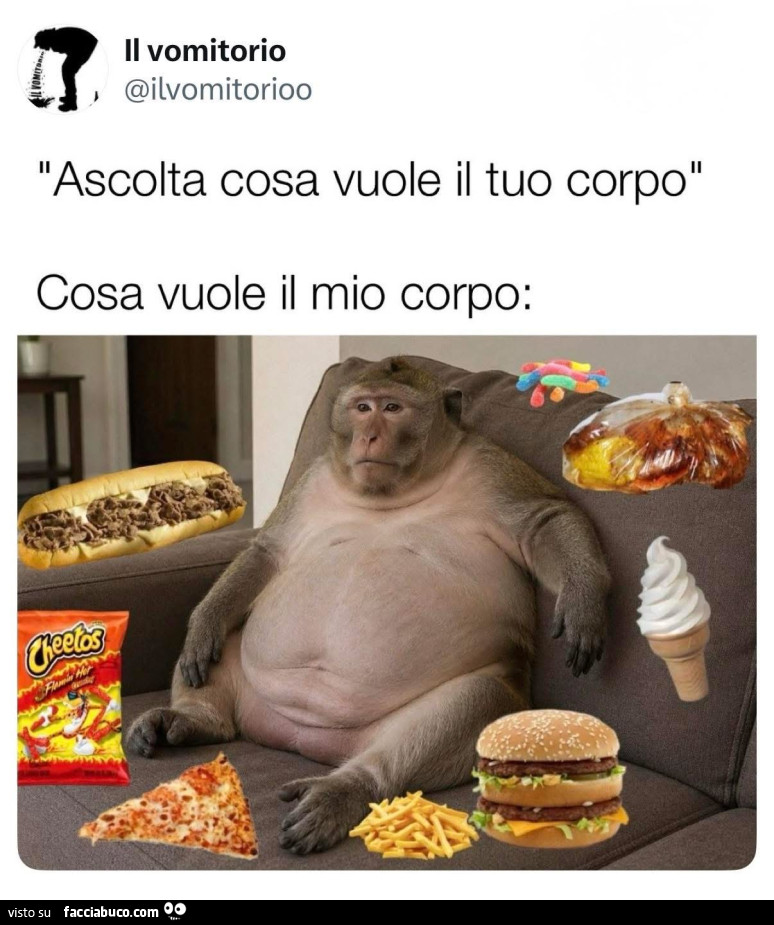Vaccata