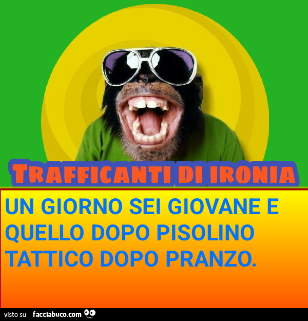 Un giorno sei giovane e quello dopo pisolino tattico gopo pranzo