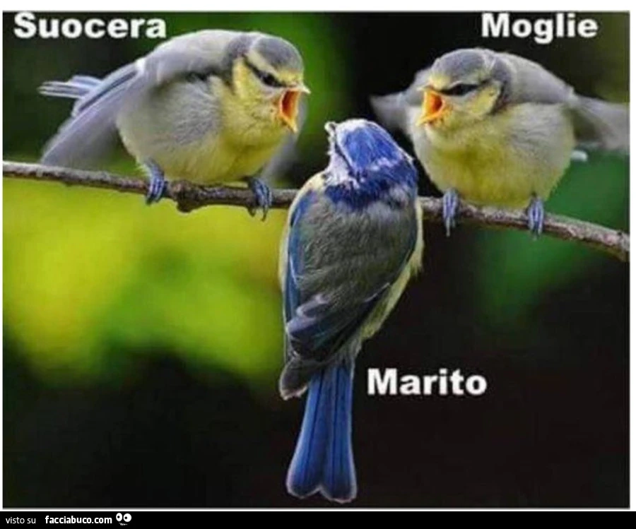In famiglia