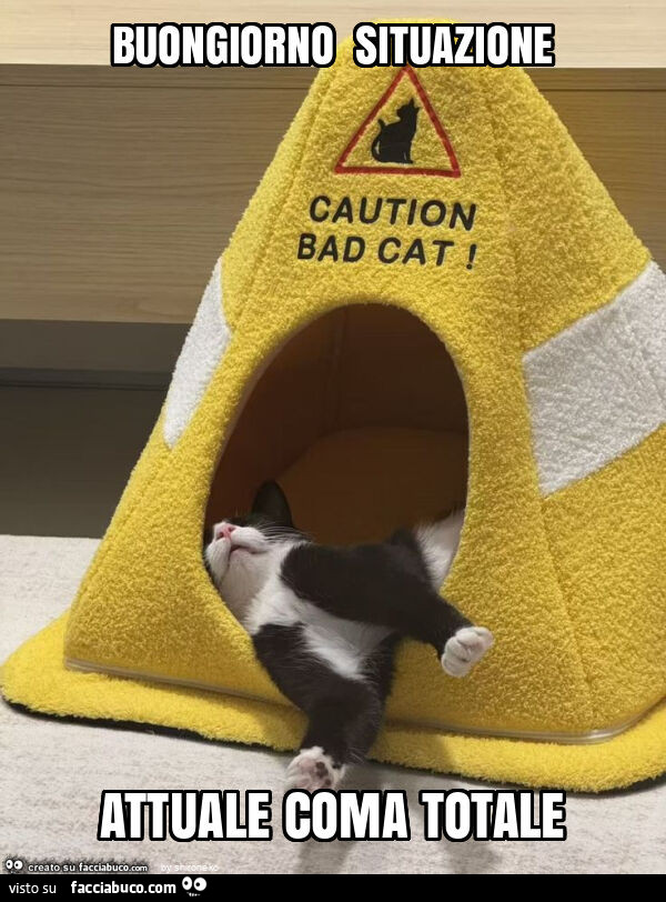 Buongiorno situazione attuale coma totale