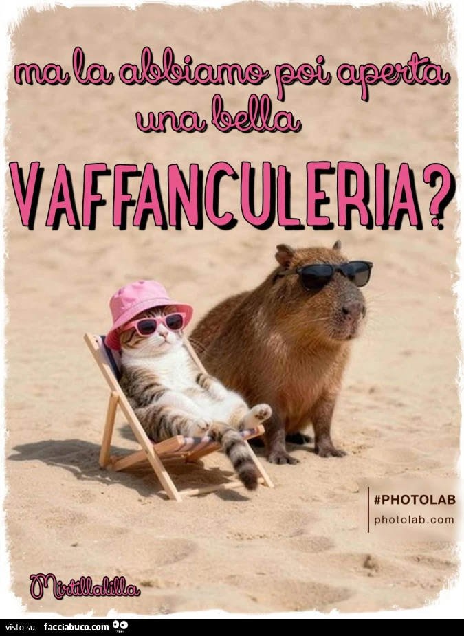 Vaffanculeria