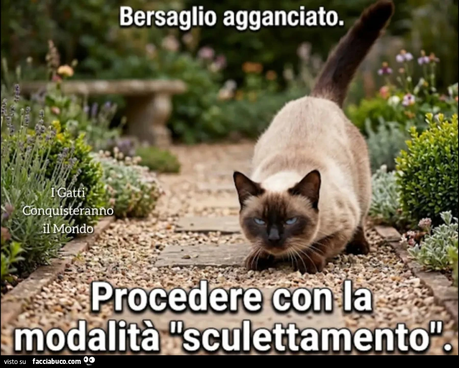 In caccia