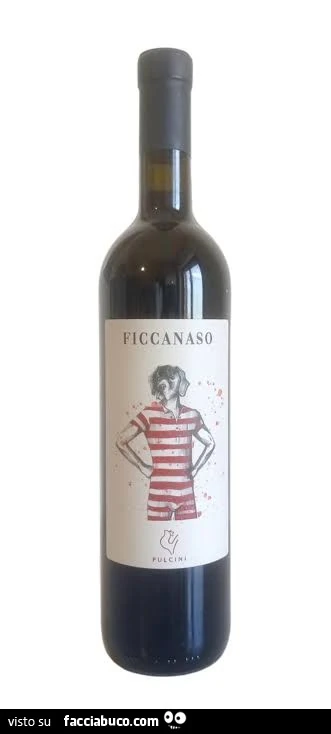 Vino Ficcanaso