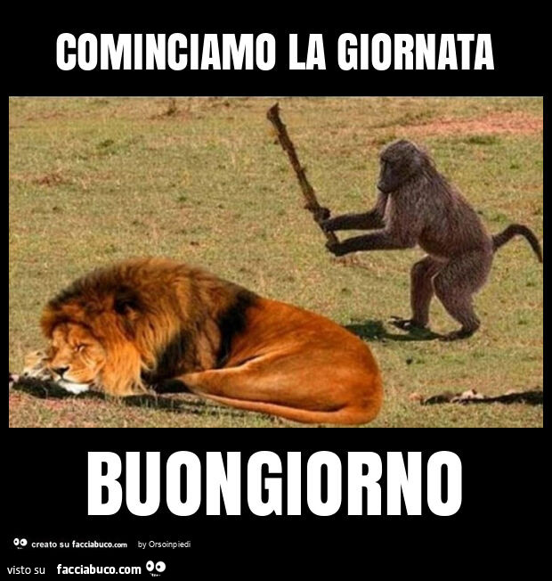 Cominciamo la giornata buongiorno