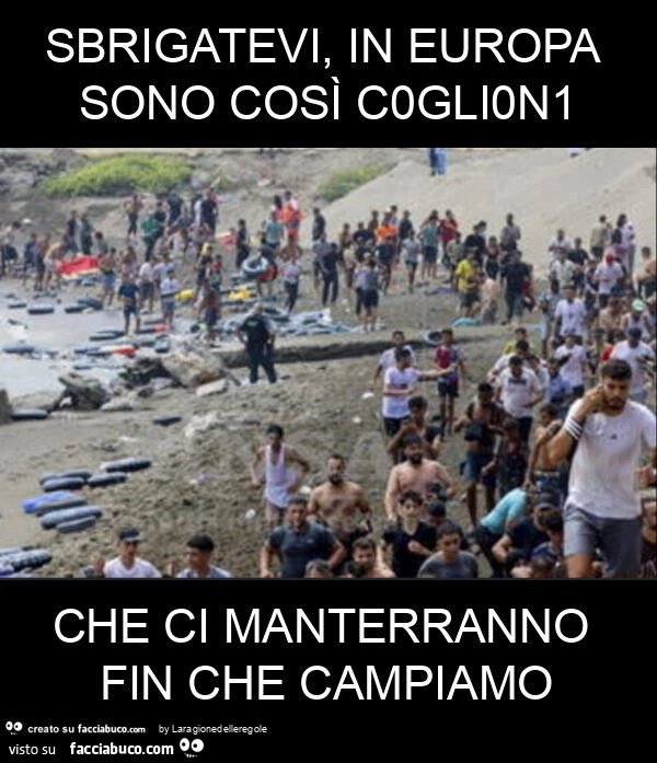 Sbrigatevi, in europa sono così c0gli0n1 che ci manterranno fin che campiamo