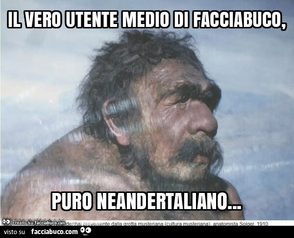 Il vero utente medio di facciabuco, puro neandertaliano