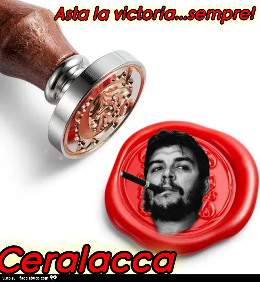 Vaccata