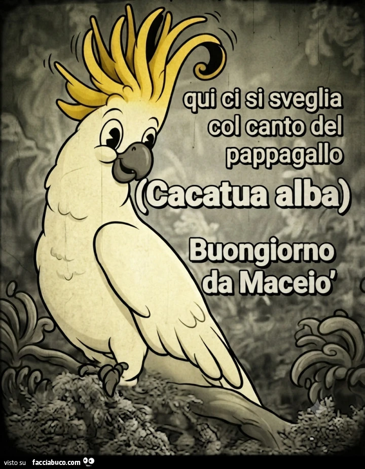 Alba