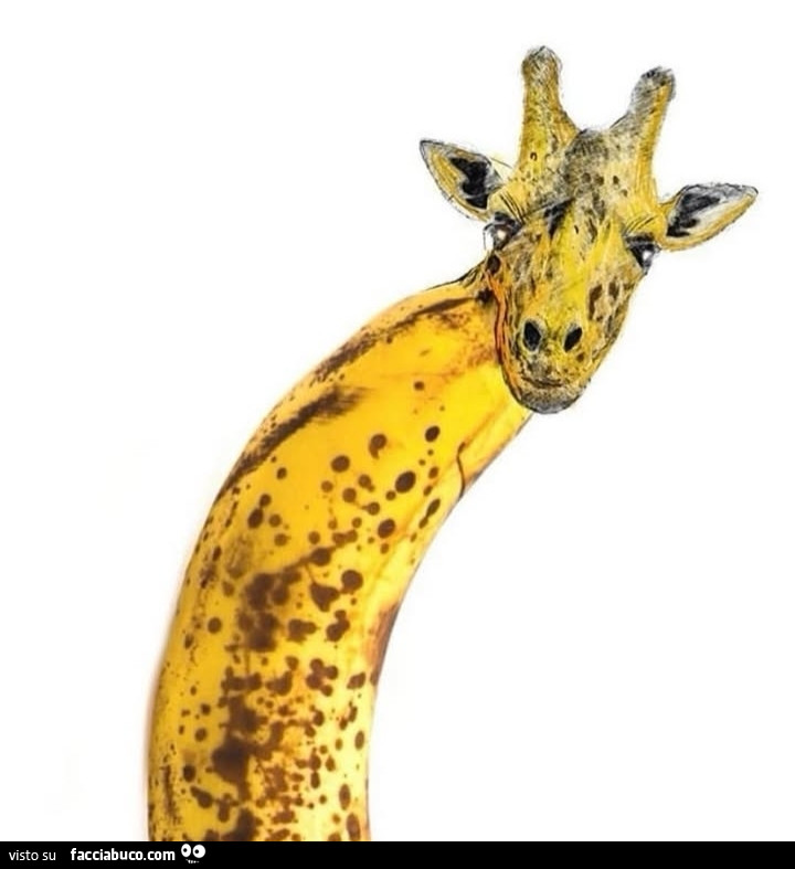 Banana giraffa