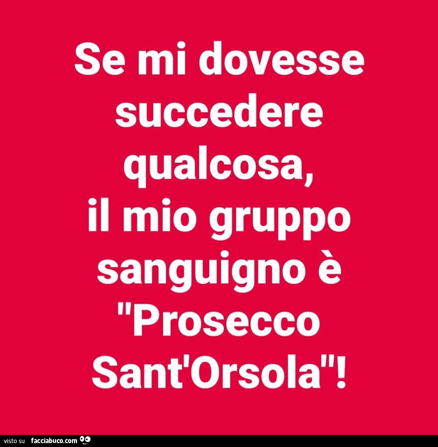 Se mi dovesse succedere qualcosa, il mio gruppo sanguigno è prosecco sant'orsola