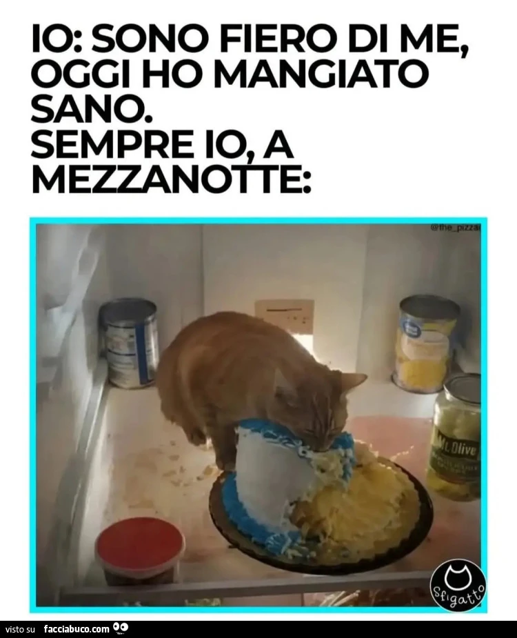 IO: SONO FIERO DI me OGGI HO MANGIATO SANO. SEMPRE io A MEZZANOTTE