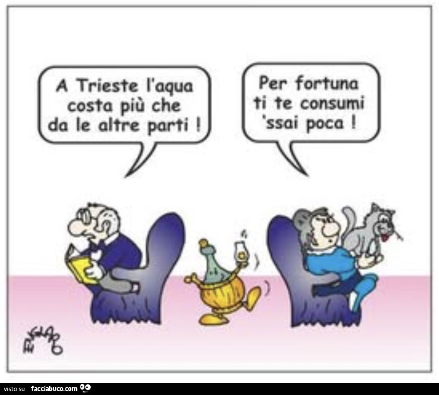 A trieste l'aqua costa più che da le altre parti. Per fortuna ti te consumi ssai poca