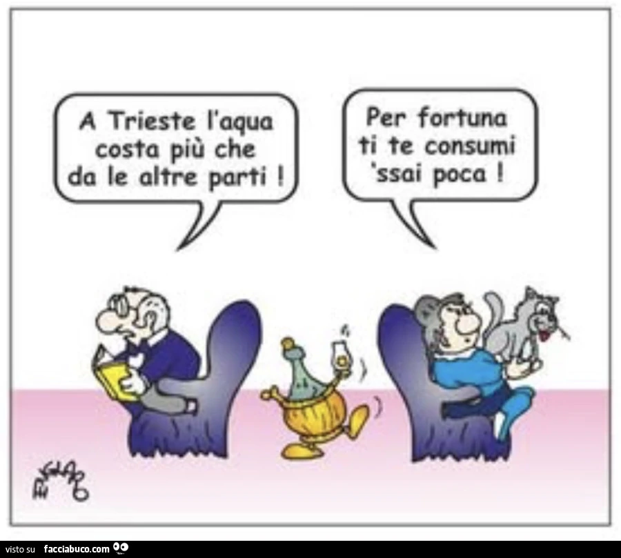 A trieste l'aqua costa piรน che da le altre parti. Per fortuna ti te consumi ssai poca