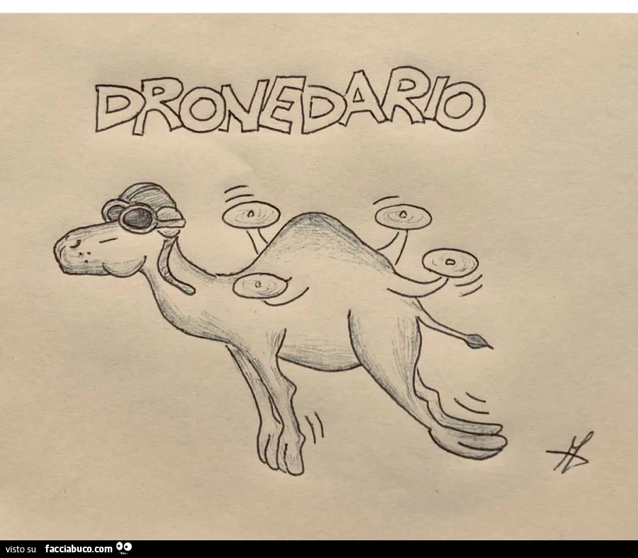 Dromedario