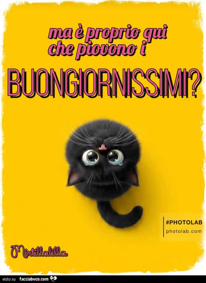 Ma è proprio qui che piovono i buongiornissimi?