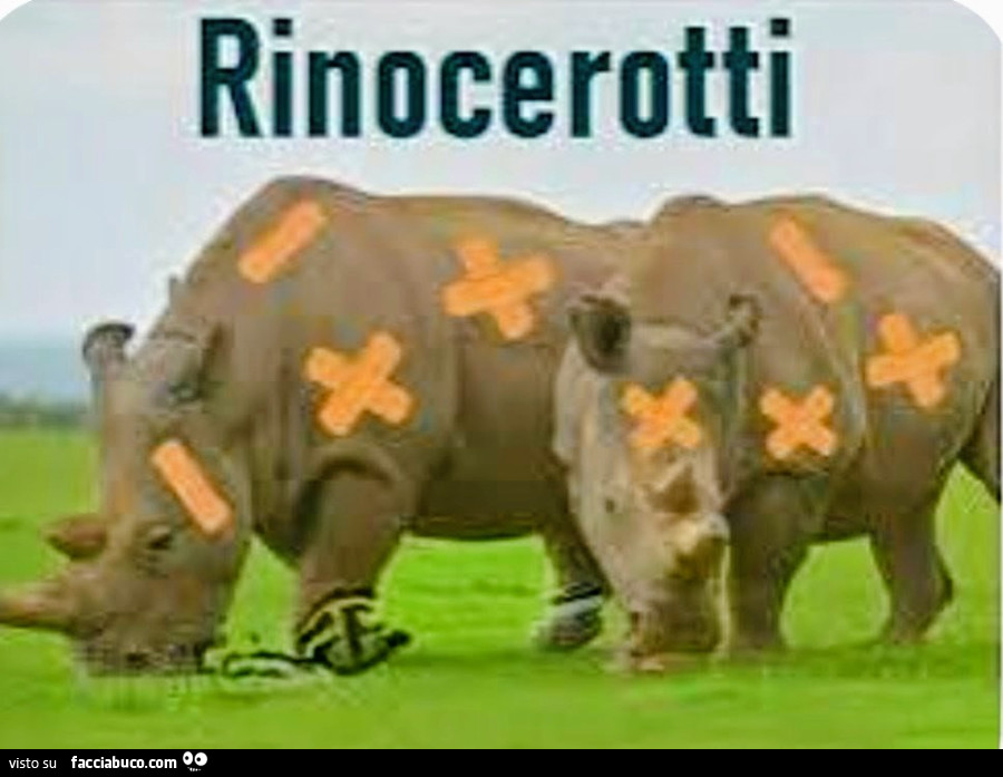 Rino&hellip; ecc