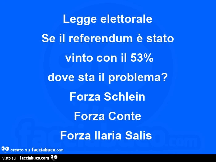 Legge elettorale se il referendum è stato  vinto con il 53% dove sta il problema? Forza schlein forza conte forza ilaria salis 