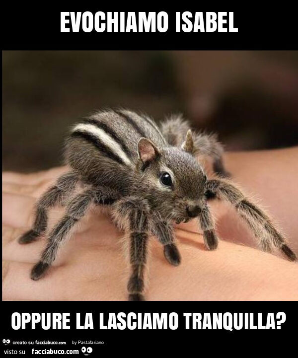 Evochiamo isabel oppure la lasciamo tranquilla?