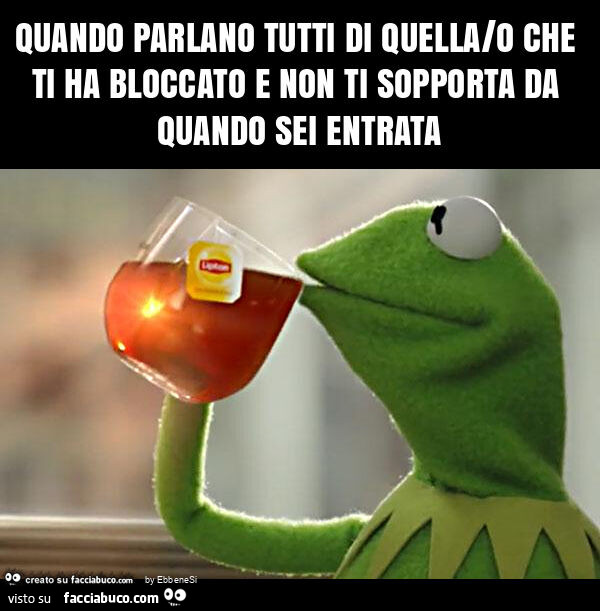 Quando parlano tutti di quella/o che ti ha bloccato e non ti sopporta da quando sei entrata