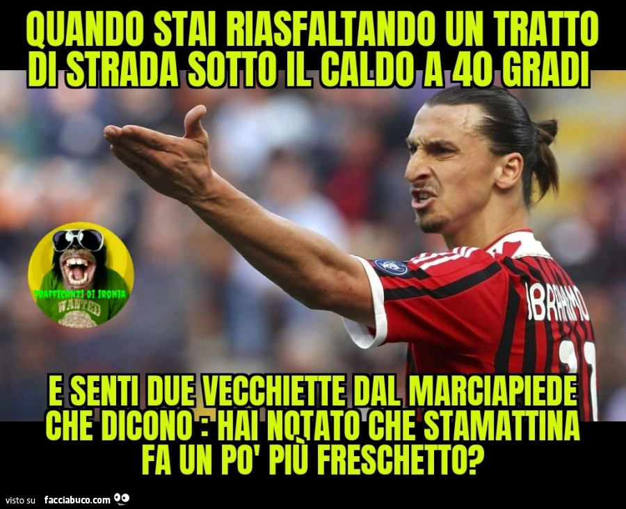 Quando stai riasfaltando un tratto di strada sotto il caldo a 40 gradi