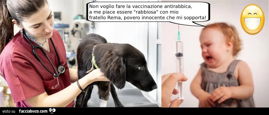 Vaccata