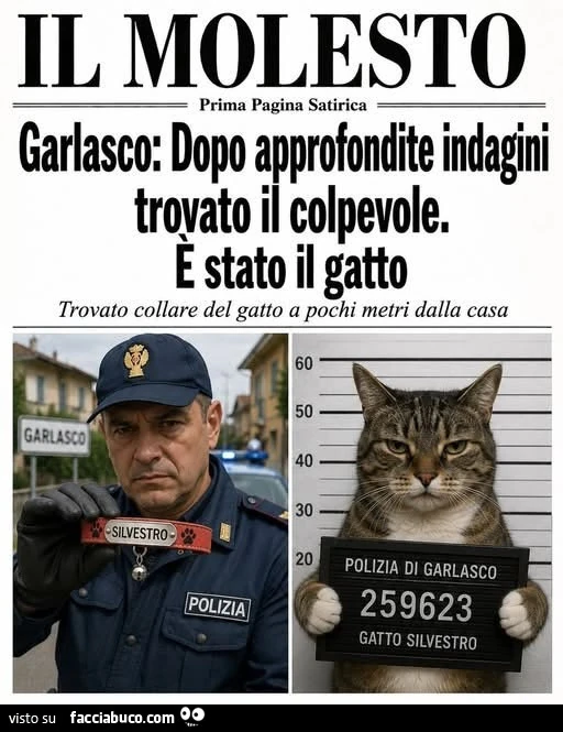 Vaccata