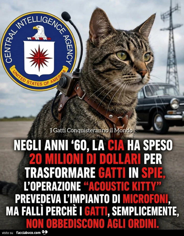 Vaccata