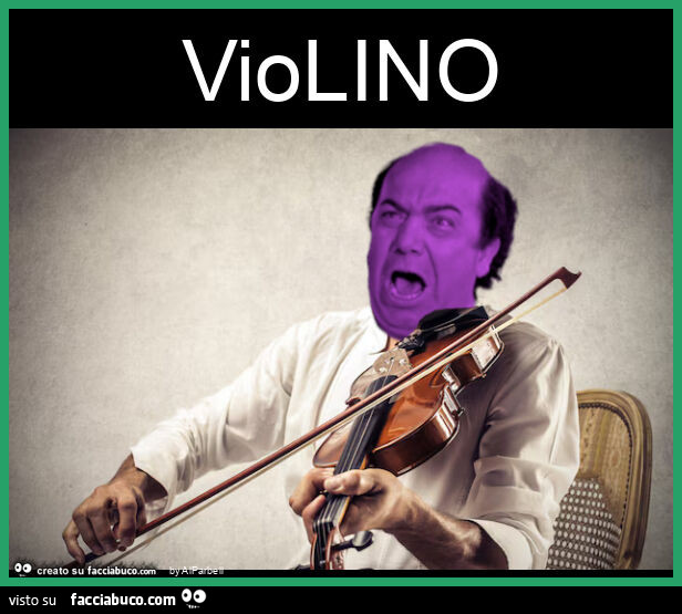 Violino