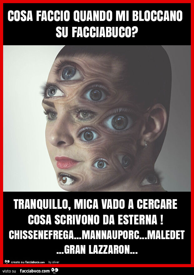 Cosa faccio quando mi bloccano su facciabuco? Tranquillo, mica vado a cercare cosa scrivono da esterna! Chissenefrega&hellip; mannauporc&hellip; maledet&hellip; gran lazzaron