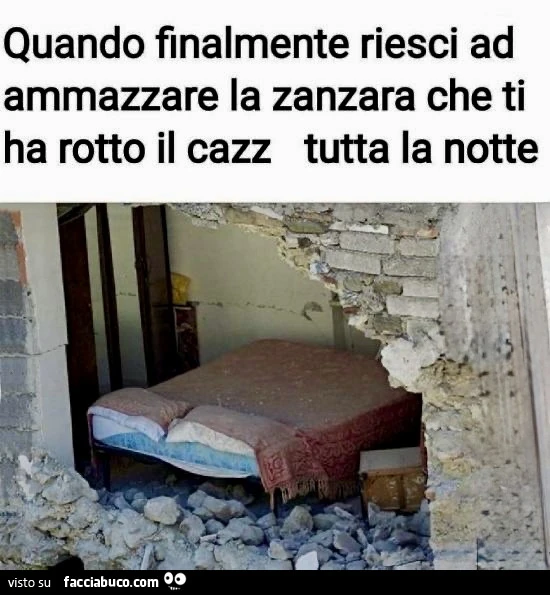 Vaccata