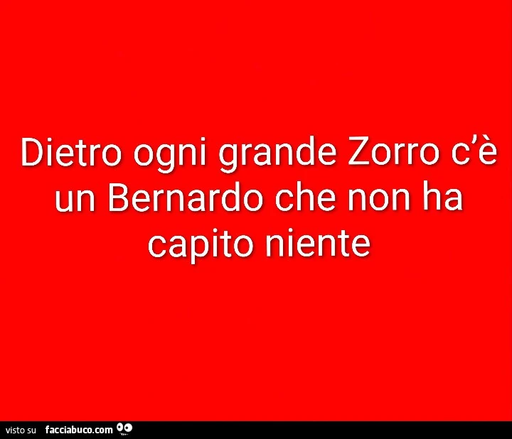 Dietro ogni grande zorro c'è un bernardo che non ha capito niente