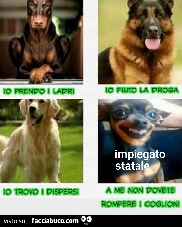 Cani