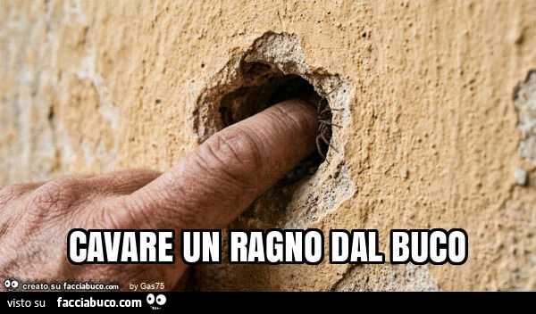 Cavare un ragno dal buco