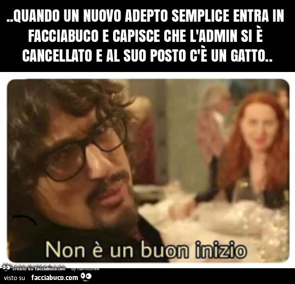 Quando un nuovo adepto semplice entra in facciabuco e capisce che l'admin si è cancellato ed al suo posto c'è un gatto