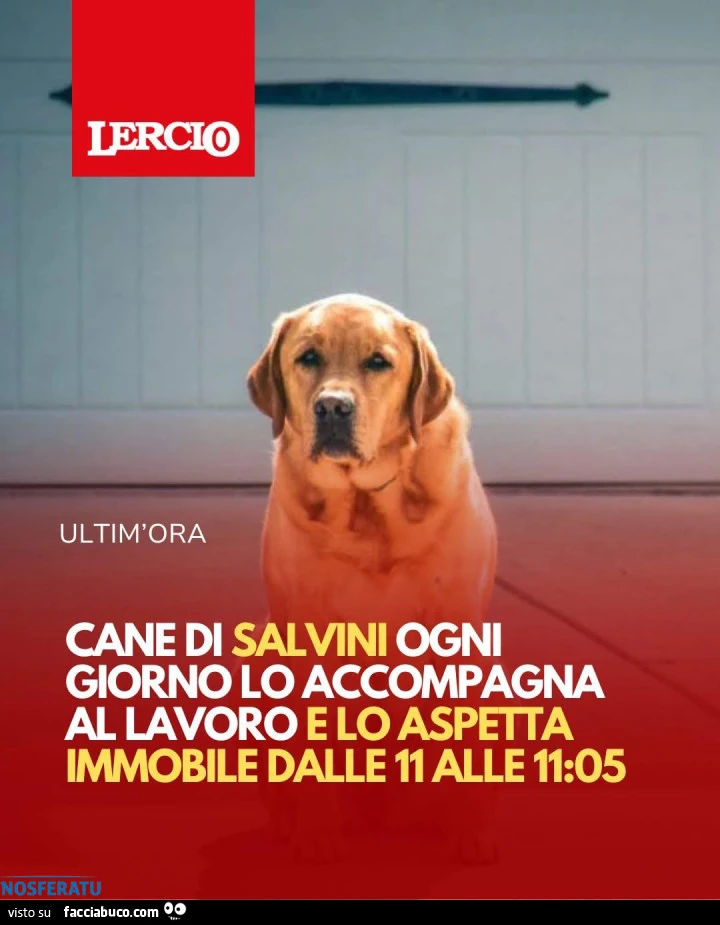 Il cane di Salvini