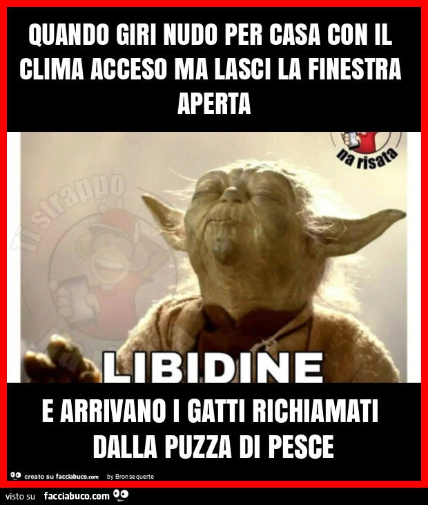 Quando giri nudo per casa con il clima acceso ma lasci la finestra aperta e arrivano i gatti richiamati dalla puzza di pesce