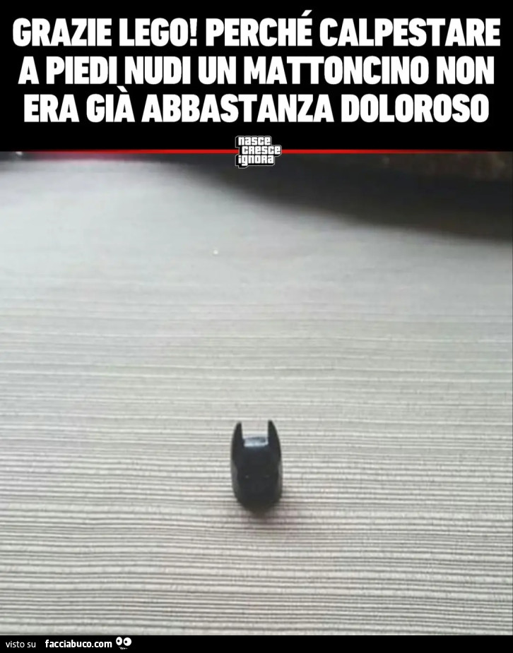 GRAZIE LEGO! PERCHÉ CALPESTARE A PIEDI NUDI UN MATTONCINO NON ERA GIÀ ABBASTANZA DOLOROSO