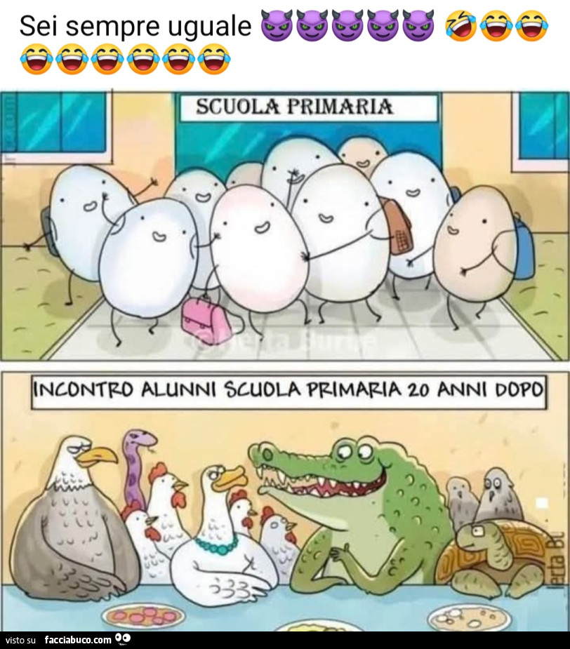 Vaccata